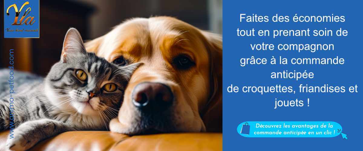 promo-speciale-croquettes-friandises-et-jouets-chien-chat